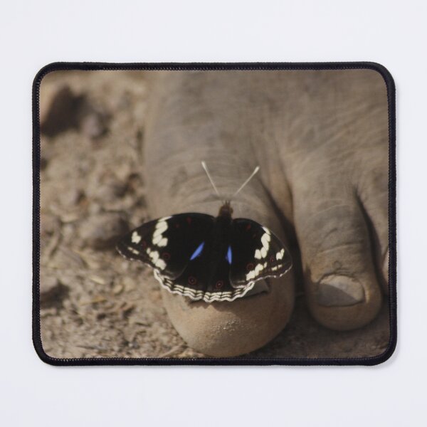 Item preview, Big foot designed and sold by Sinnopilar.