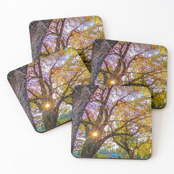 Item preview, Autumn Sunset along the Calder - Woodend, Victoria, Australia designed and sold by Steven Jodoin.