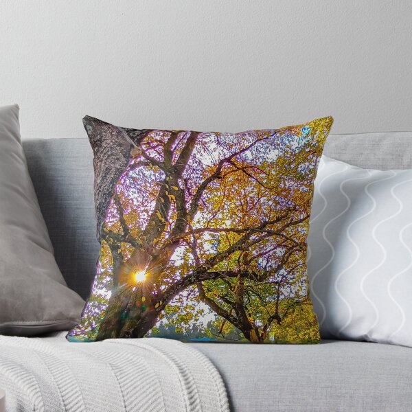 Item preview, Autumn Sunset along the Calder - Woodend, Victoria, Australia designed and sold by Steven Jodoin.