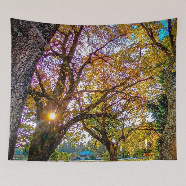 Item preview, Autumn Sunset along the Calder - Woodend, Victoria, Australia designed and sold by Steven Jodoin.