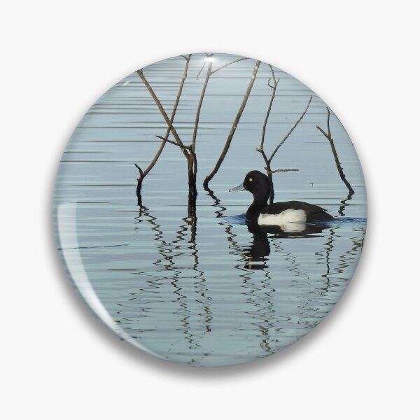Item preview, Tufted duck on calm water designed and sold by CatherineMoore4.