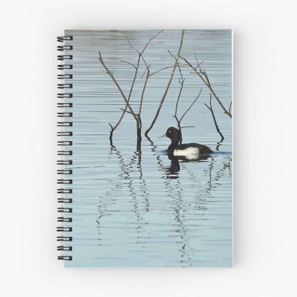 Item preview, Tufted duck on calm water designed and sold by CatherineMoore4.