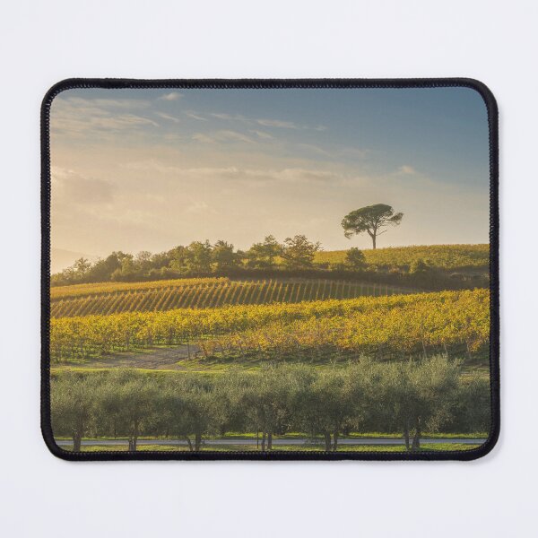 Item preview, Stone pine and vineyards, autumn landscape in Chianti, Italy designed and sold by Stefano Orazzini.
