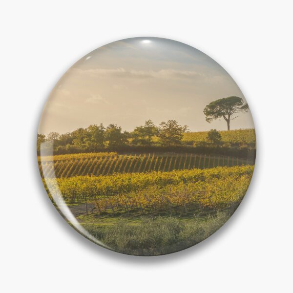 Item preview, Stone pine and vineyards, autumn landscape in Chianti, Italy designed and sold by Stefano Orazzini.