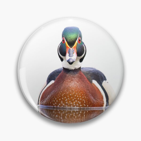 Item preview, Wood duck swimming in Spring designed and sold by James Cumming.