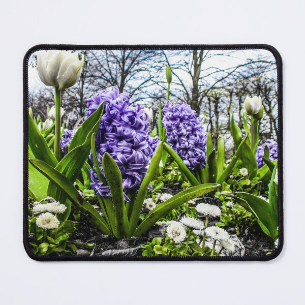 Item preview, Garden tulips , regent park London  designed and sold by Sinnopilar.
