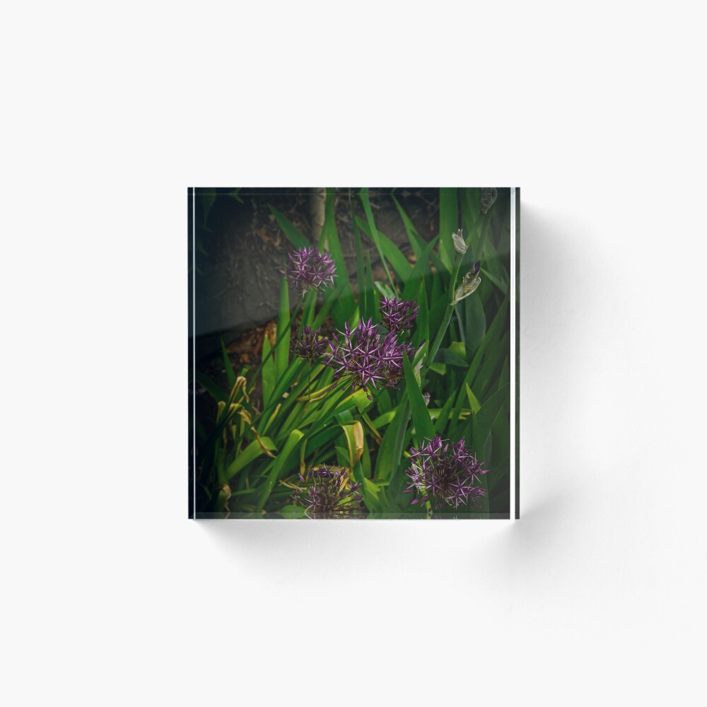 Item preview, Acrylic Block designed and sold by srosu.