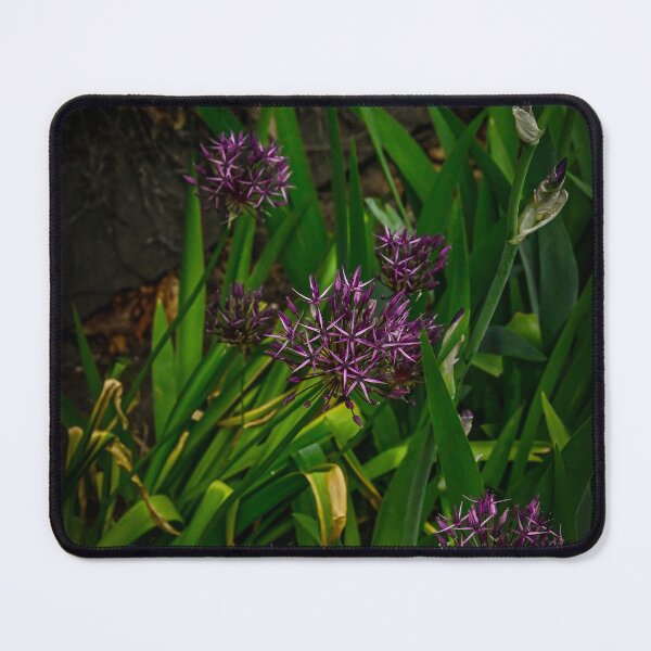 Item preview, Spring Chives  designed and sold by SRosuphotos.