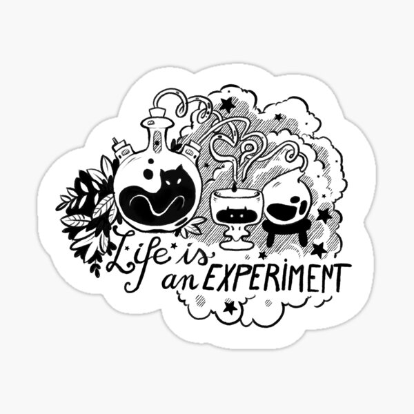 life is an experience Sticker