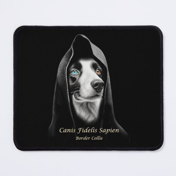 Item preview, Border Collie in hooded robe designed and sold by Iiswaz.