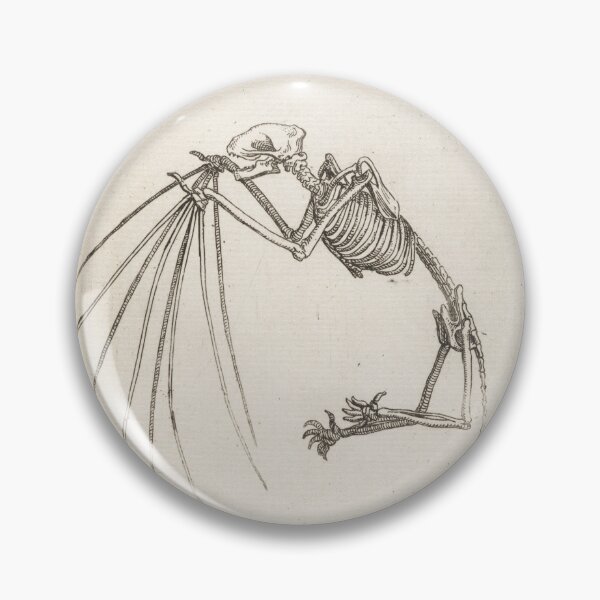Item preview, Skeleton Of A Bat by Teodoro Filippo di Liagno designed and sold by FunnyGayGuy.