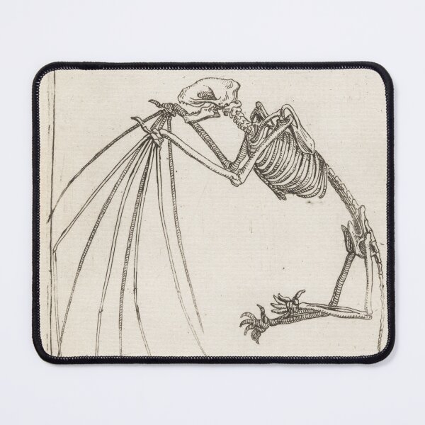 Item preview, Skeleton Of A Bat by Teodoro Filippo di Liagno designed and sold by FunnyGayGuy.