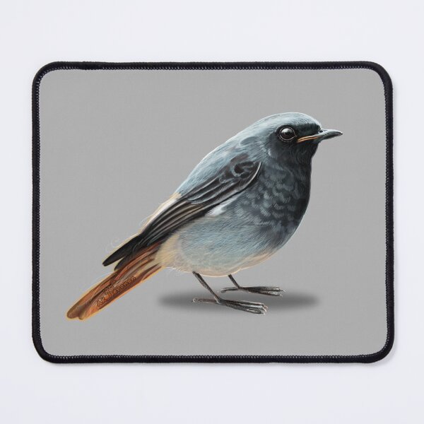 Item preview, Feathery Friend Painting designed and sold by AK-Hevonen.