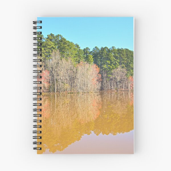 Item preview, Reflecting On Spring designed and sold by LisaWootenPhoto.