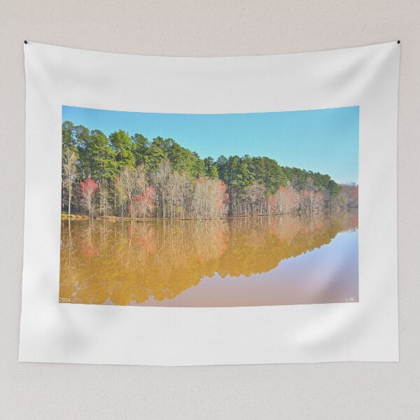 Item preview, Reflecting On Spring designed and sold by LisaWootenPhoto.