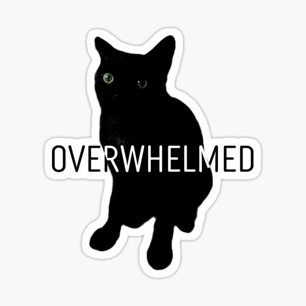 overwhelmed black cat energy Sticker