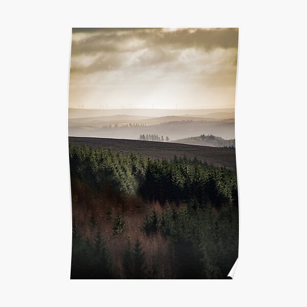 Back to Ireland Poster