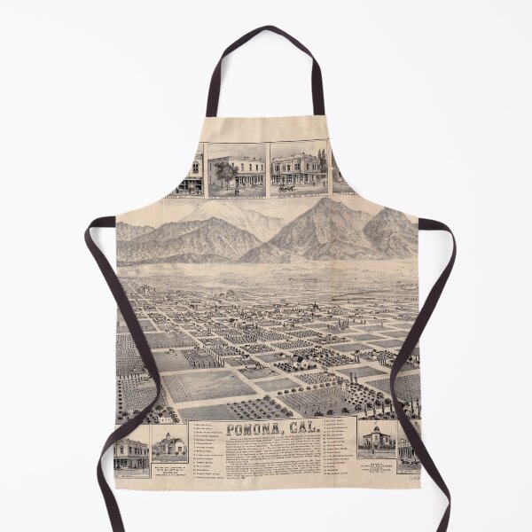 Item preview, Pomona, California (1886) designed and sold by allhistory.