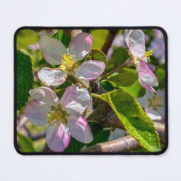 Item preview, Pink Apple Blossoms designed and sold by Jess Reynolds.