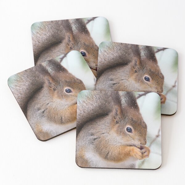 Item preview, Squarrel. Red squirrel designed and sold by Jouko Lehto Photography.