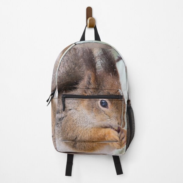 Item preview, Squarrel. Red squirrel designed and sold by Jouko Lehto Photography.