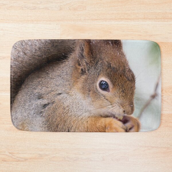 Item preview, Squarrel. Red squirrel designed and sold by Jouko Lehto Photography.