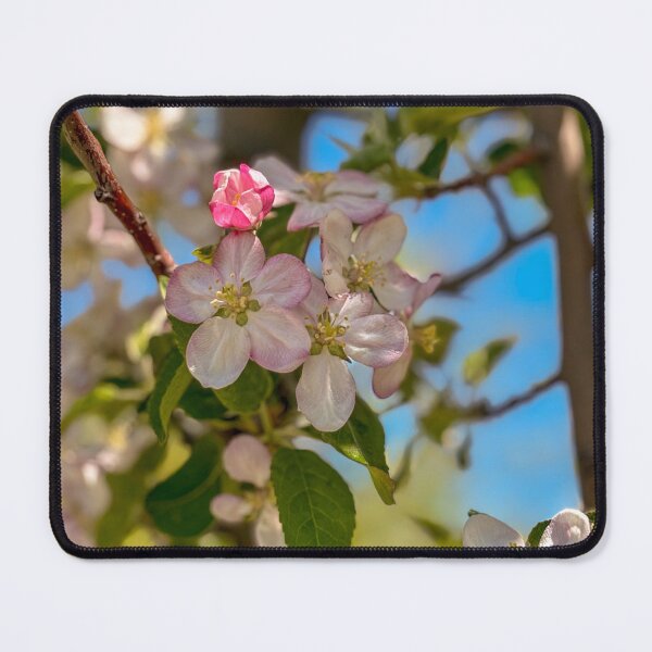 Item preview, Apple Tree Blossom designed and sold by Jess Reynolds.