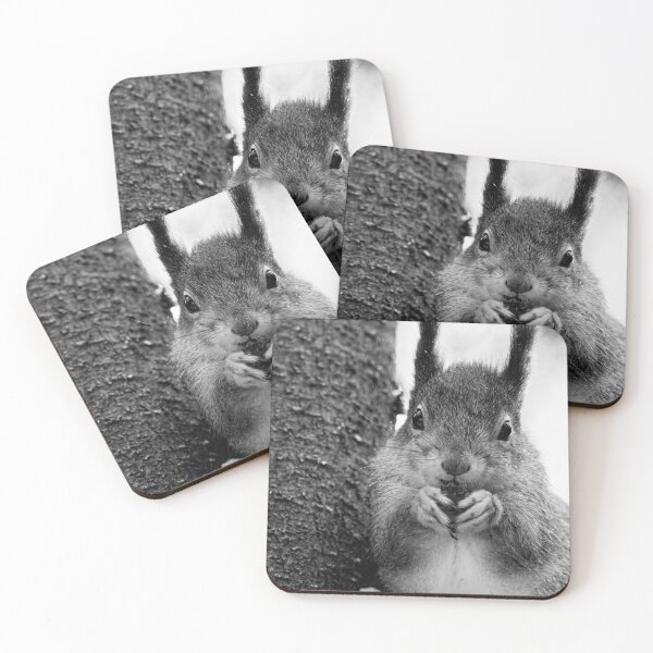 Item preview, Leaning to the spruce. Red squirrel bw designed and sold by Jouko Lehto Photography.