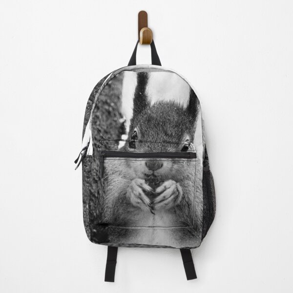 Item preview, Leaning to the spruce. Red squirrel bw designed and sold by Jouko Lehto Photography.
