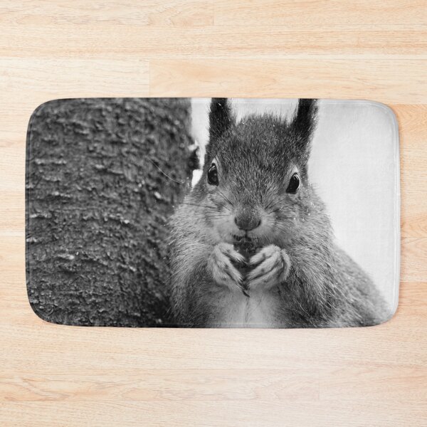 Item preview, Leaning to the spruce. Red squirrel bw designed and sold by Jouko Lehto Photography.