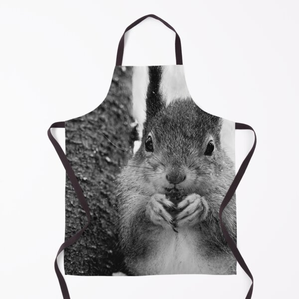 Item preview, Leaning to the spruce. Red squirrel bw designed and sold by Jouko Lehto Photography.