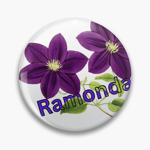 Item preview, teya dora ramonda serbica flower designed and sold by profiler221b.