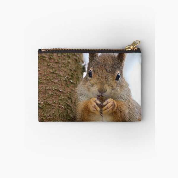 Item preview, Leaning to the spruce. Red squirrel designed and sold by Jouko Lehto Photography.