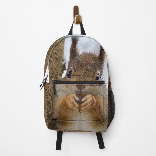Item preview, Leaning to the spruce. Red squirrel designed and sold by Jouko Lehto Photography.