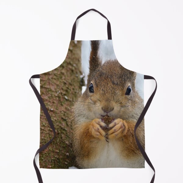 Item preview, Leaning to the spruce. Red squirrel designed and sold by Jouko Lehto Photography.
