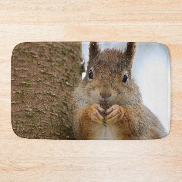 Item preview, Leaning to the spruce. Red squirrel designed and sold by Jouko Lehto Photography.