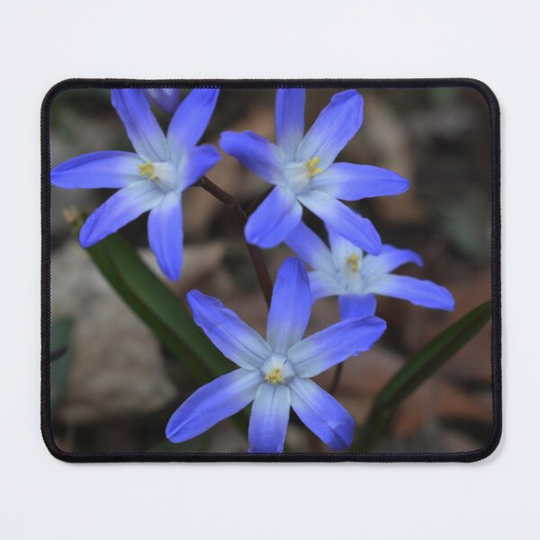 Item preview, Pastel Blue-Purple Flowers Photography designed and sold by ThePhotograph03.