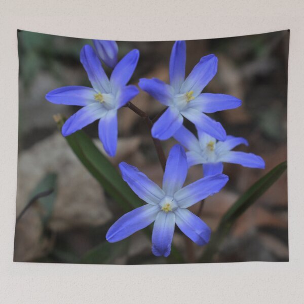 Item preview, Pastel Blue-Purple Flowers Photography designed and sold by ThePhotograph03.