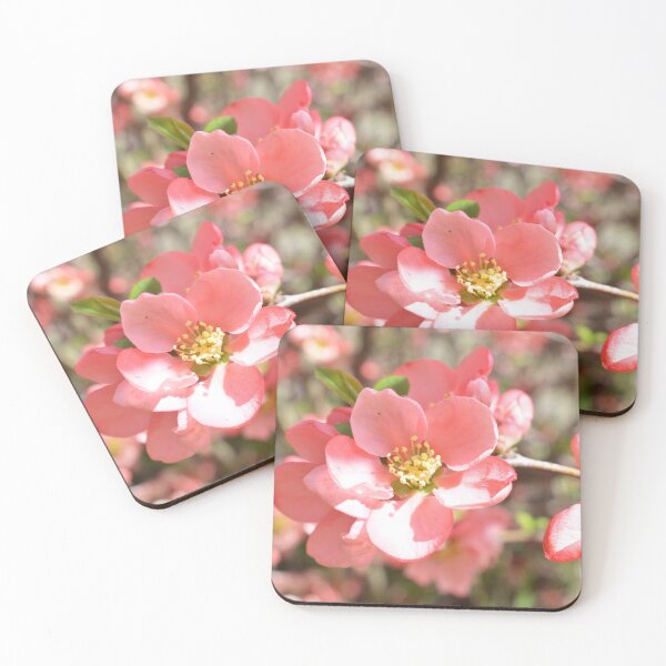 Item preview, Pink Blossoms Photography designed and sold by ThePhotograph03.