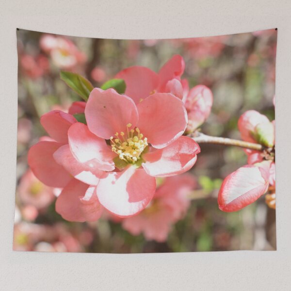 Item preview, Pink Blossoms Photography designed and sold by ThePhotograph03.