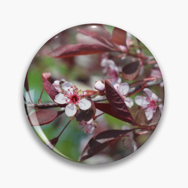 Item preview, Small White Flowers on a Vine  Photography designed and sold by ThePhotograph03.