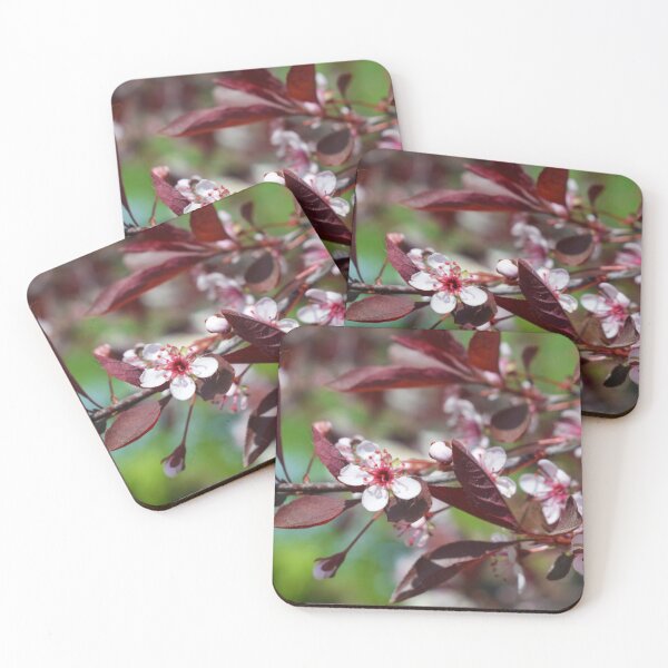 Item preview, Small White Flowers on a Vine  Photography designed and sold by ThePhotograph03.
