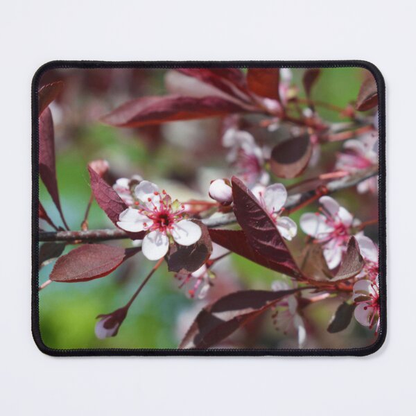 Item preview, Small White Flowers on a Vine Photography designed and sold by ThePhotograph03.