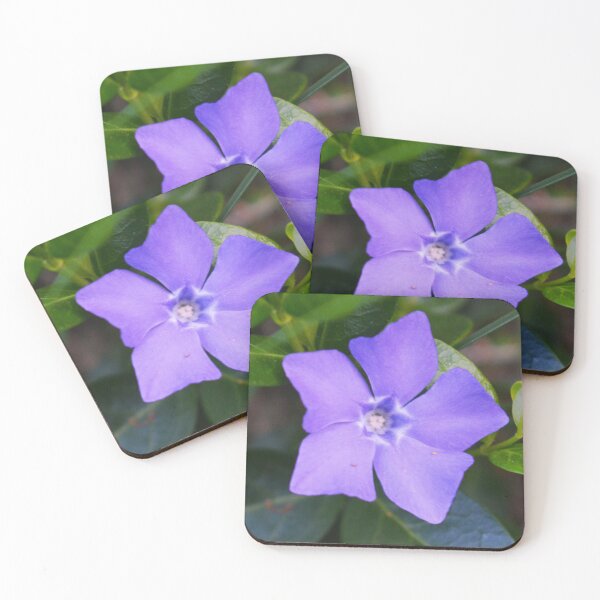 Item preview, Purple Star Flower Photography designed and sold by ThePhotograph03.