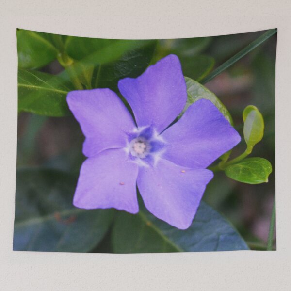 Item preview, Purple Star Flower Photography designed and sold by ThePhotograph03.