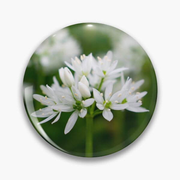 Item preview, White Ramsons Flower Photography designed and sold by ThePhotograph03.