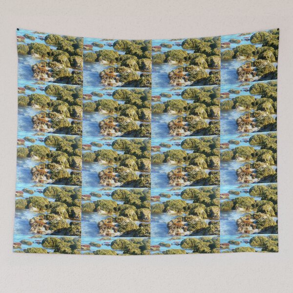 Item preview, Killarney Beach, Vic. Australia designed and sold by EdsMum.