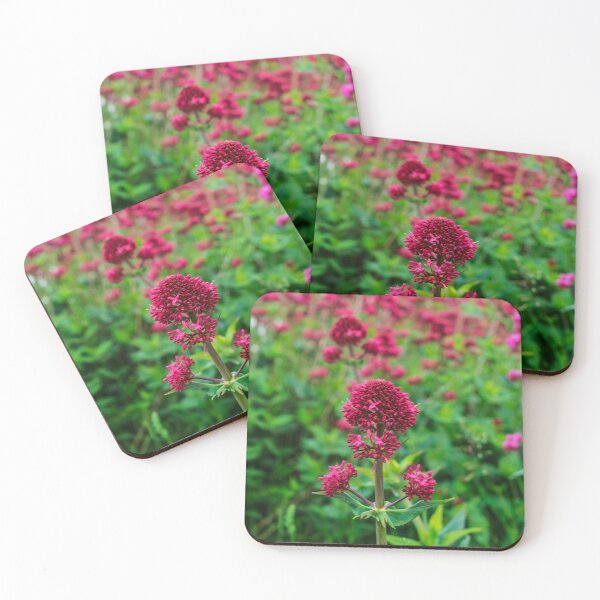 Item preview, Field of Red Valerian Flowers Leaves Photography designed and sold by ThePhotograph03.