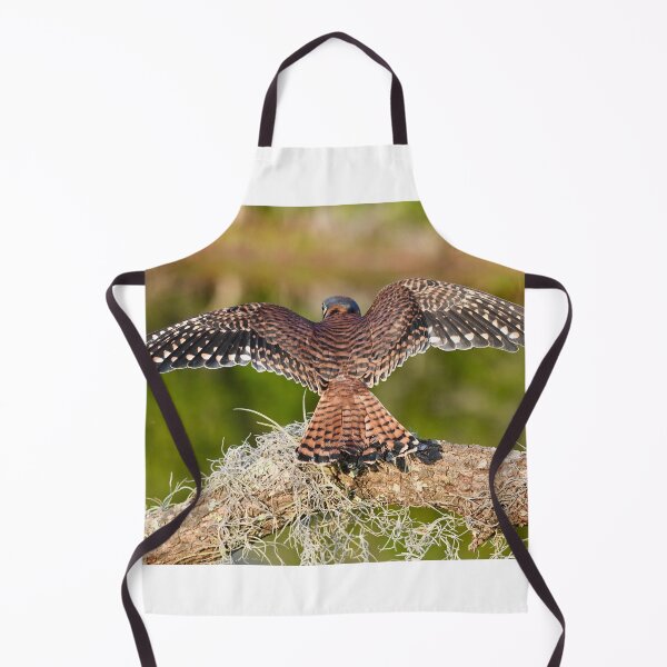 Item preview, American Kestrel Spreading Its Wings designed and sold by richardbryce.