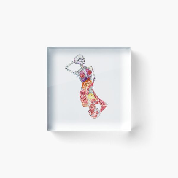 Item preview, Ace of Anatomy designed and sold by S7IEBEN.